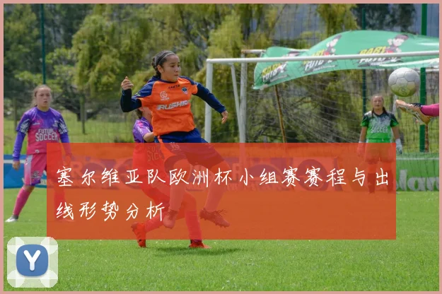 塞尔维亚队欧洲杯小组赛赛程与出线形势分析