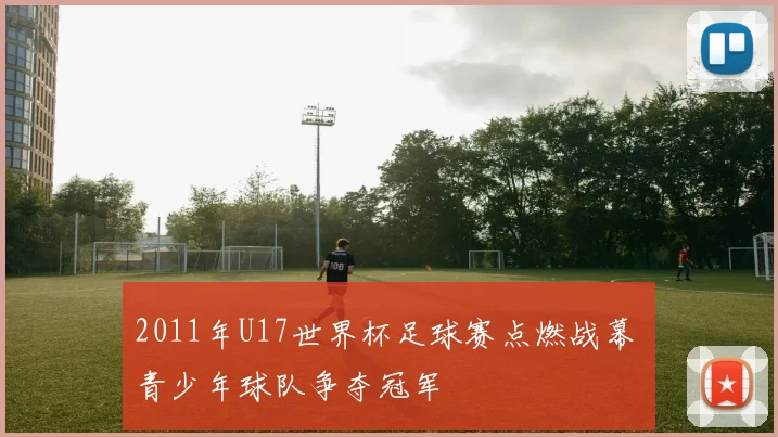 2011年U17世界杯足球赛点燃战幕 青少年球队争夺冠军