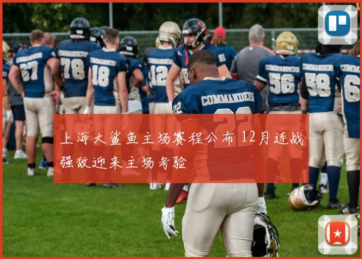上海大鲨鱼主场赛程公布 12月连战强敌迎来主场考验