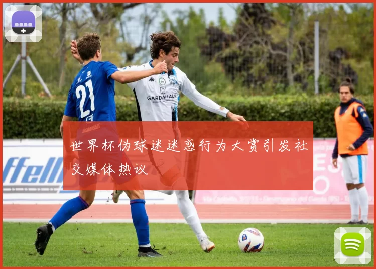 世界杯伪球迷迷惑行为大赏引发社交媒体热议